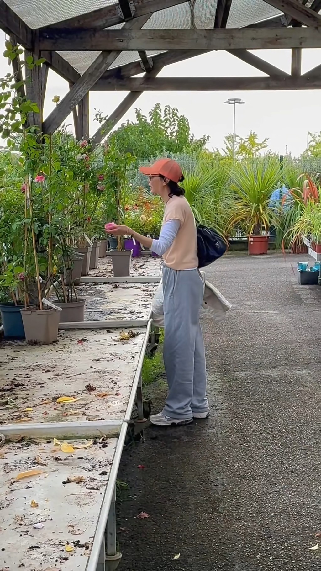 張曼玉表示,擁有花園後可以種植許多東西。