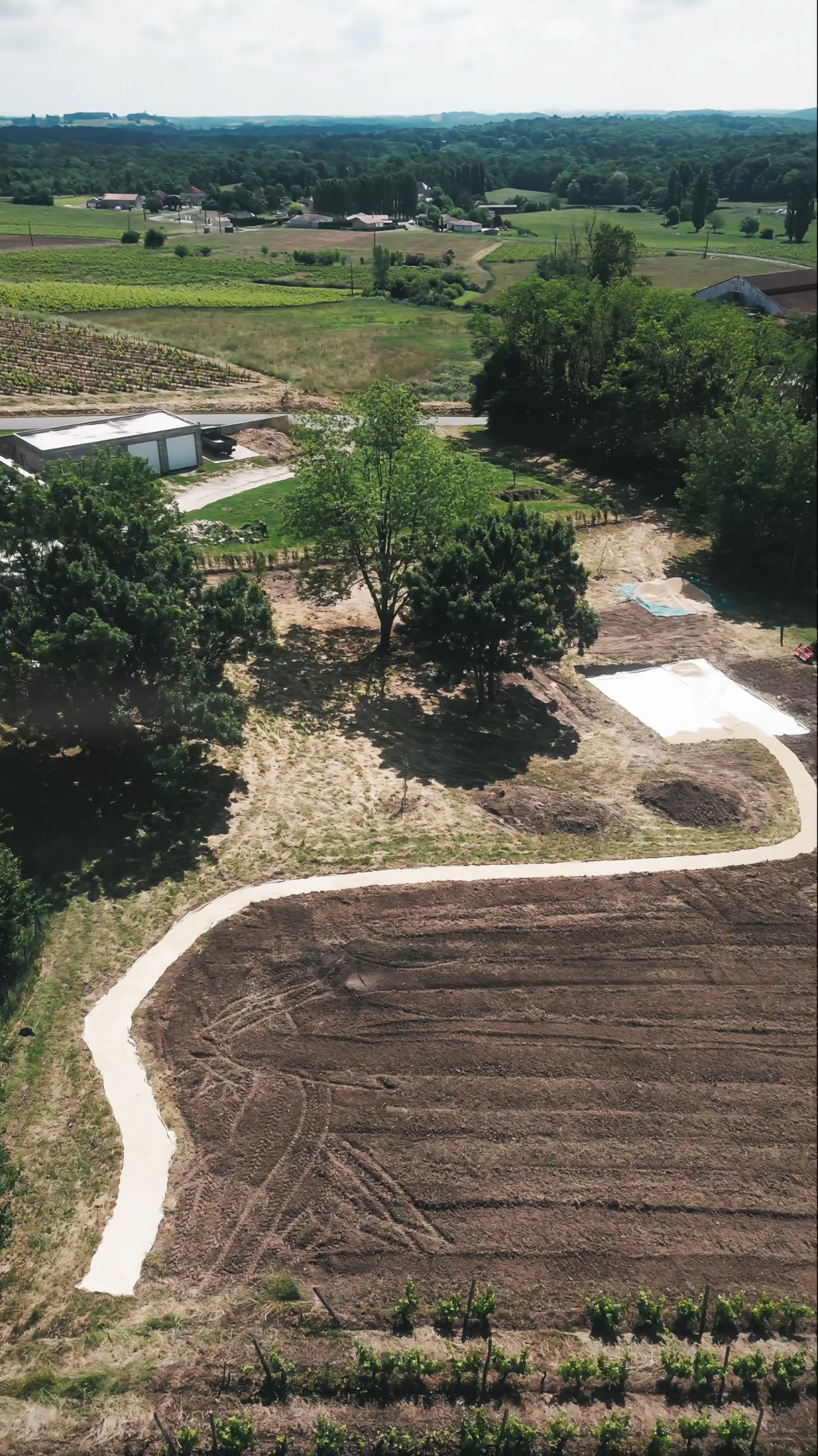 廣闊的草地令整個花園空間感十足。