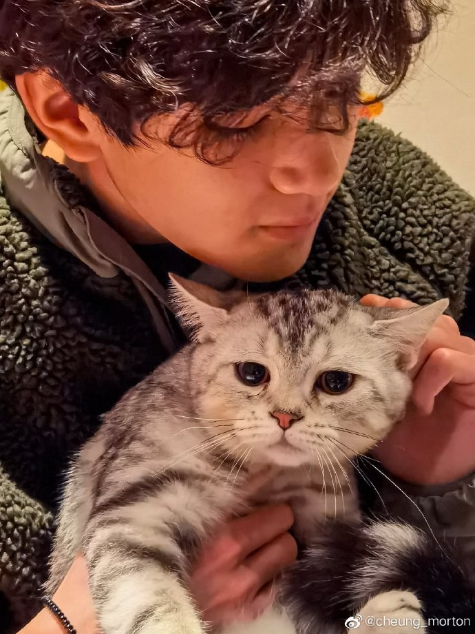 張慕童也是一名愛貓之人。