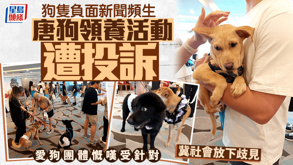 狗隻襲擊事件頻發 領養活動受壓 愛護動物團體籲理性看待