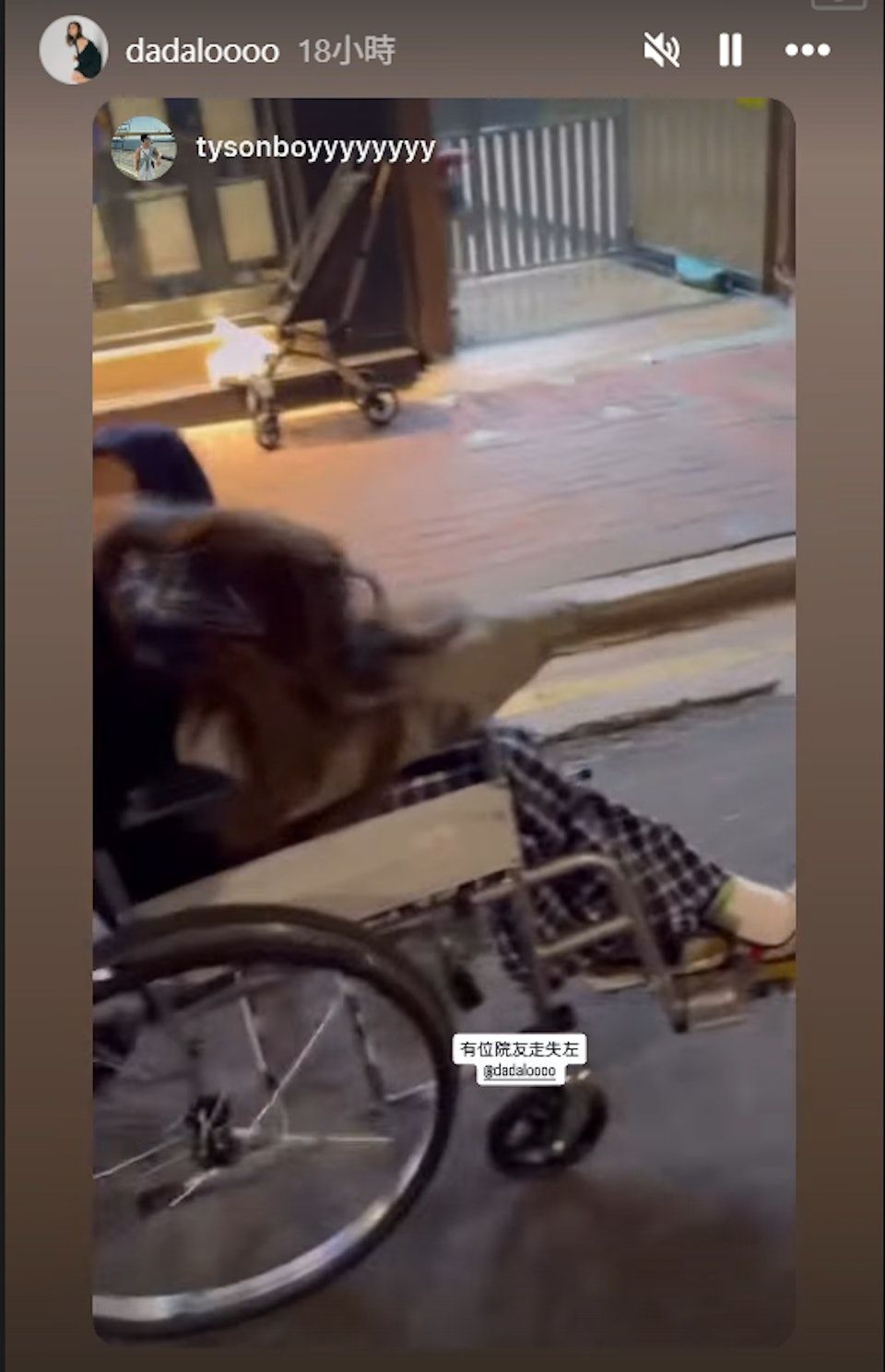 盧頌之全身無力躺在輪椅上,需靠枕頭支撐頭部。