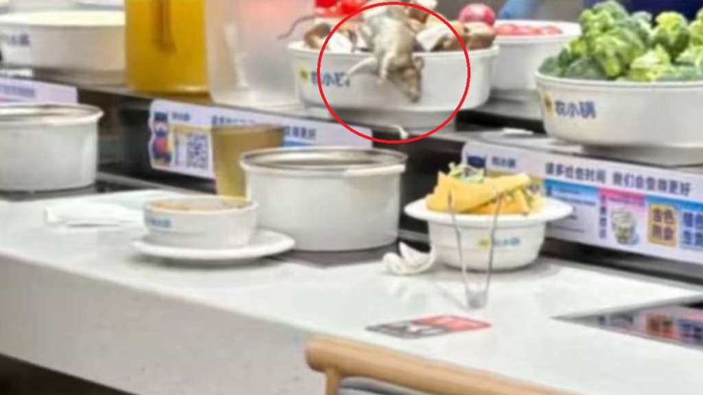 上海自助火鍋店衛生事件 活鼠從天花板跌落傳送帶菜品