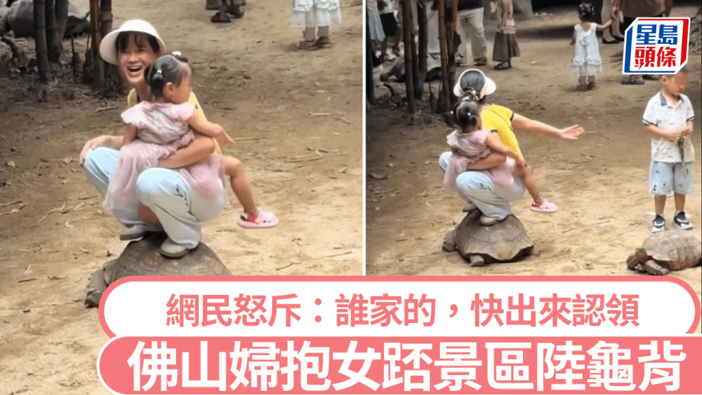 佛山動物園有家長抱幼女坐上陸龜背 園方提醒此舉可致龜殼暗裂