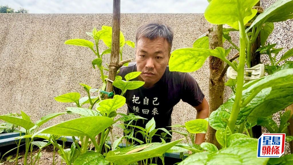 都市園圃連結社區 劉海龍：種植不止為食