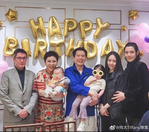 向太曾公開表示買地贈予媳婦郭碧婷,相關言論一度成為熱搜話題。