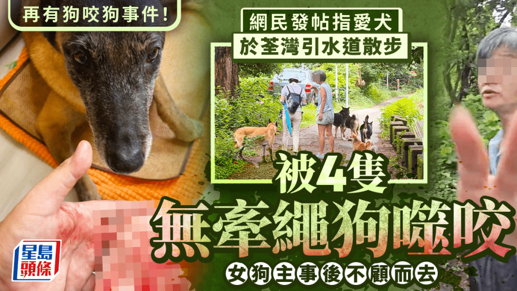 荃灣狗咬狗事件 肇事狗主未牽繩兼不顧而去 漁護署調查或提檢控