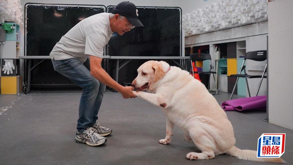 犬隻行為顧問蔡易儕剖析攻擊行為 籲狗主從管理入手保障安全
