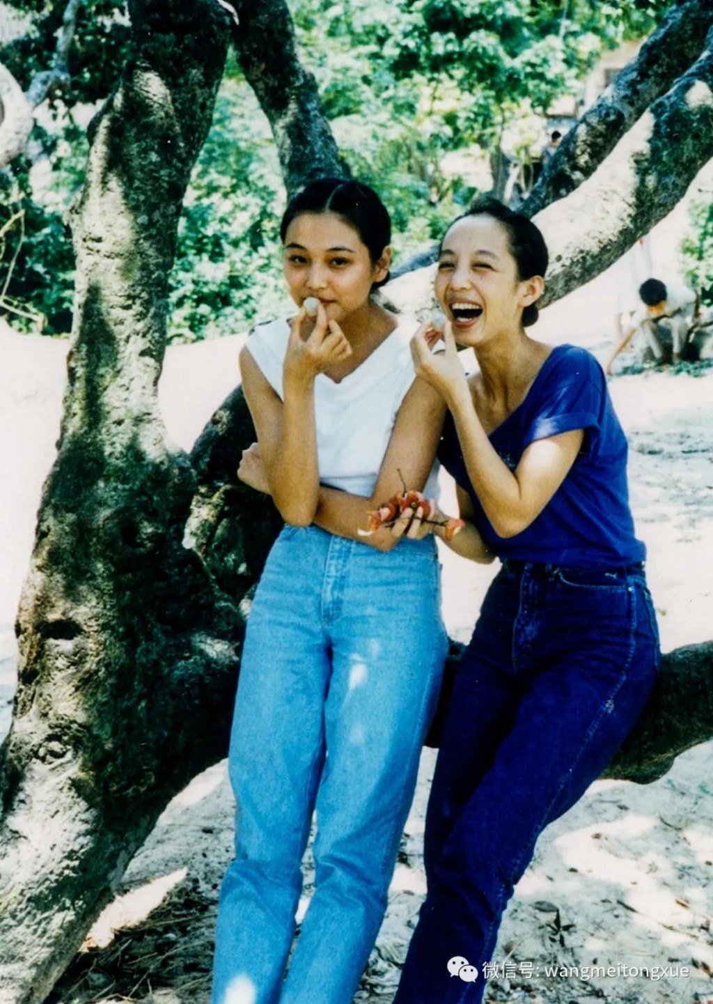 張延1991年畢業後加入廣東實驗現代舞團,翌年考入TVB於華南理工開設的第二期藝員訓練班。