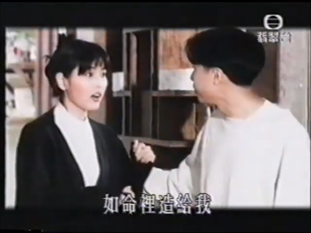 張延的演藝生涯中參與過不少劇集演出。