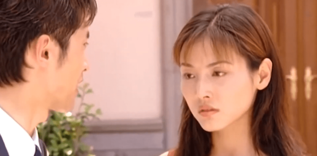 1995年實習期滿後,張延沒有與TVB簽約,選擇返回內地發展。