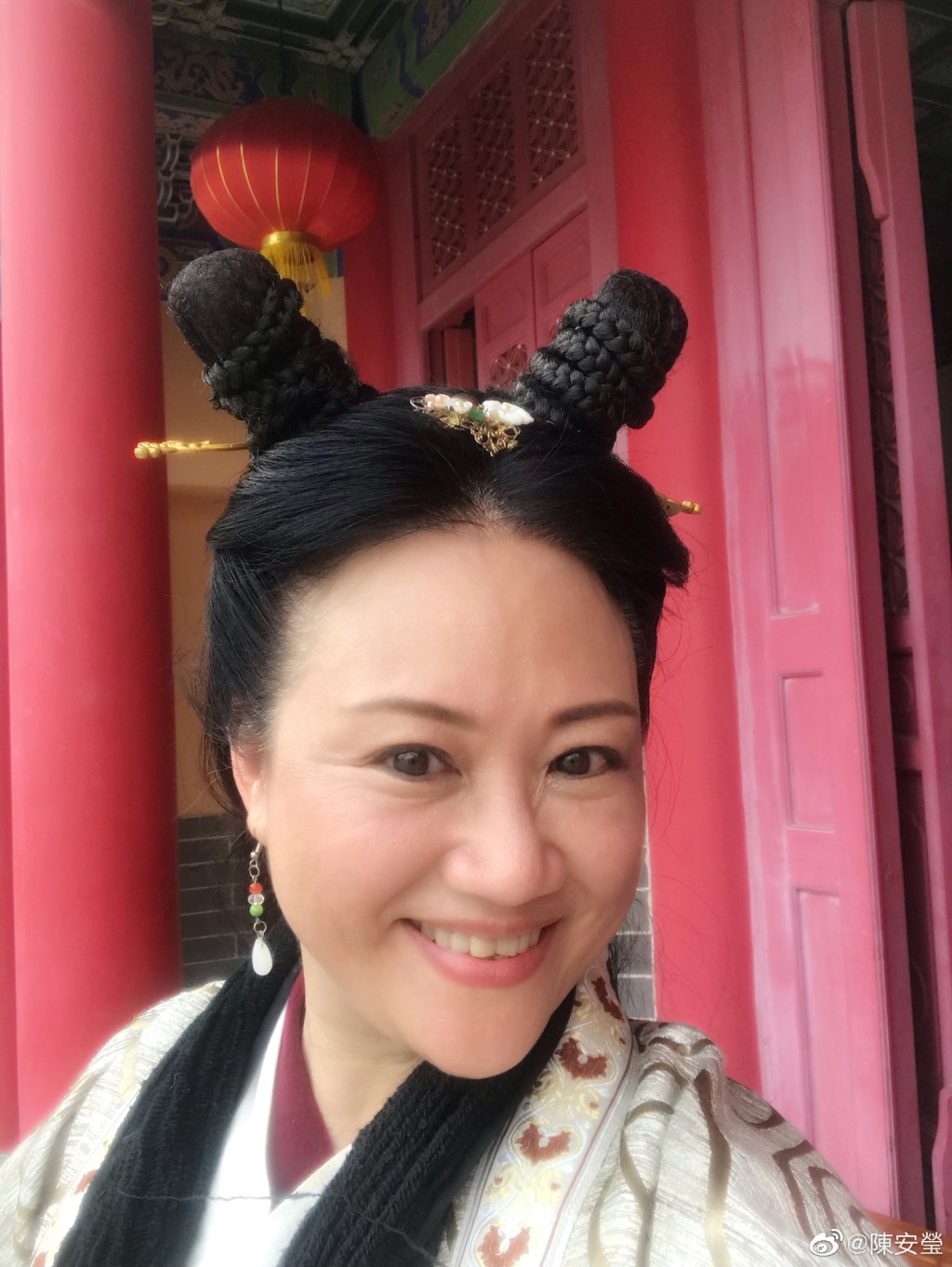 陳安瑩參與過不少劇集的演出。