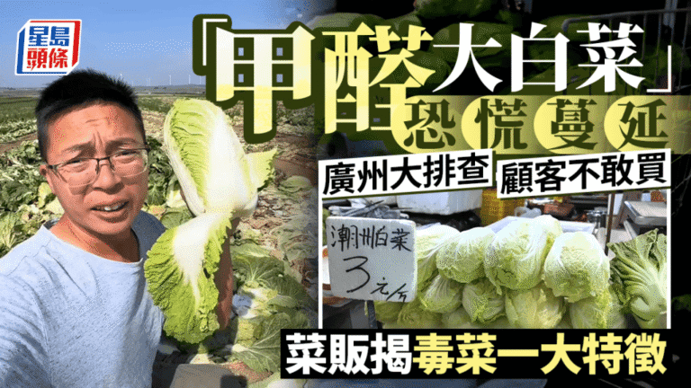 廣州啟動大白菜全面排查 批發市場銷量與價格受事件影響下跌