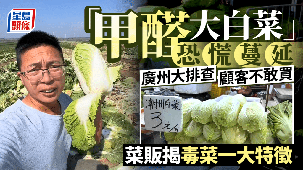 廣州啟動大白菜全面排查 批發市場銷量與價格受事件影響下跌