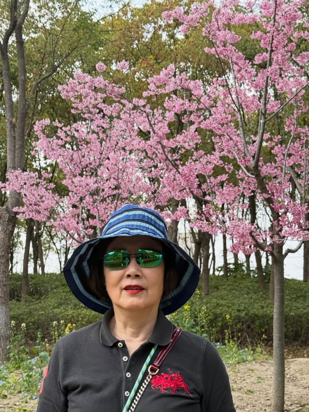 汪明荃在櫻花樹下留影,心情看來相當愉快。