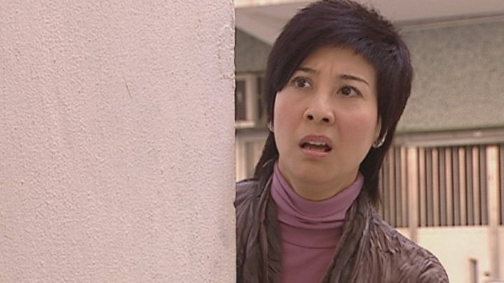 林漪娸演出過不少處境劇集。