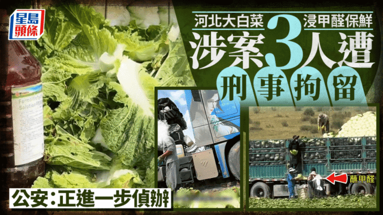 河北「甲醛白菜」案刑事立案 三名涉案人員被拘留