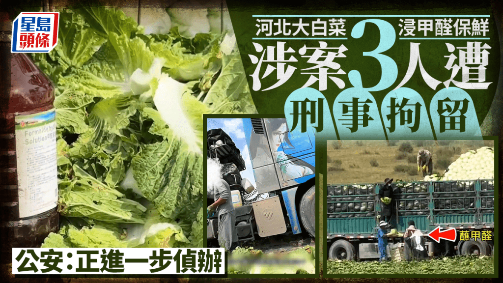 河北「甲醛白菜」案刑事立案 三名涉案人員被拘留