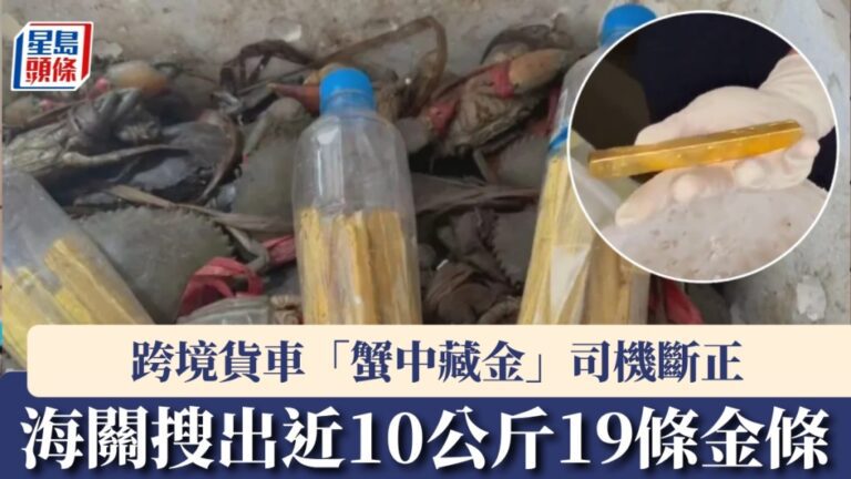 深圳灣海關破獲跨境貨車走私案 蟹箱膠樽藏近10公斤金條