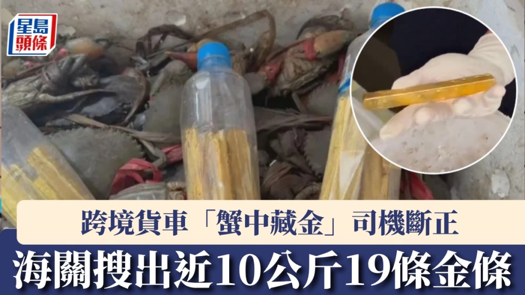 深圳灣海關破獲跨境貨車走私案 蟹箱膠樽藏近10公斤金條
