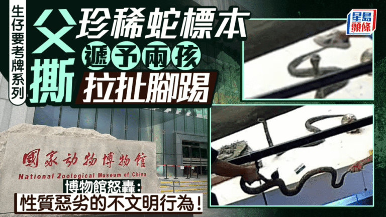 北京國家動物博物館標本遭遊客損壞 館方強烈譴責不文明行為