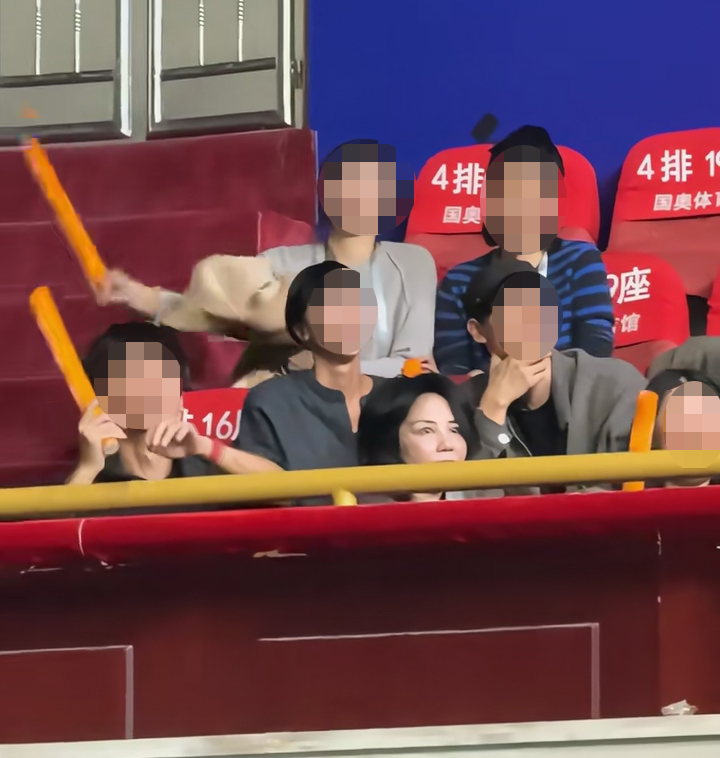 王菲早前曾現身大女竇靖童於北京舉行的演唱會。