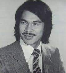 1968年，陳觀泰考入邵氏南國實驗劇團訓練班。