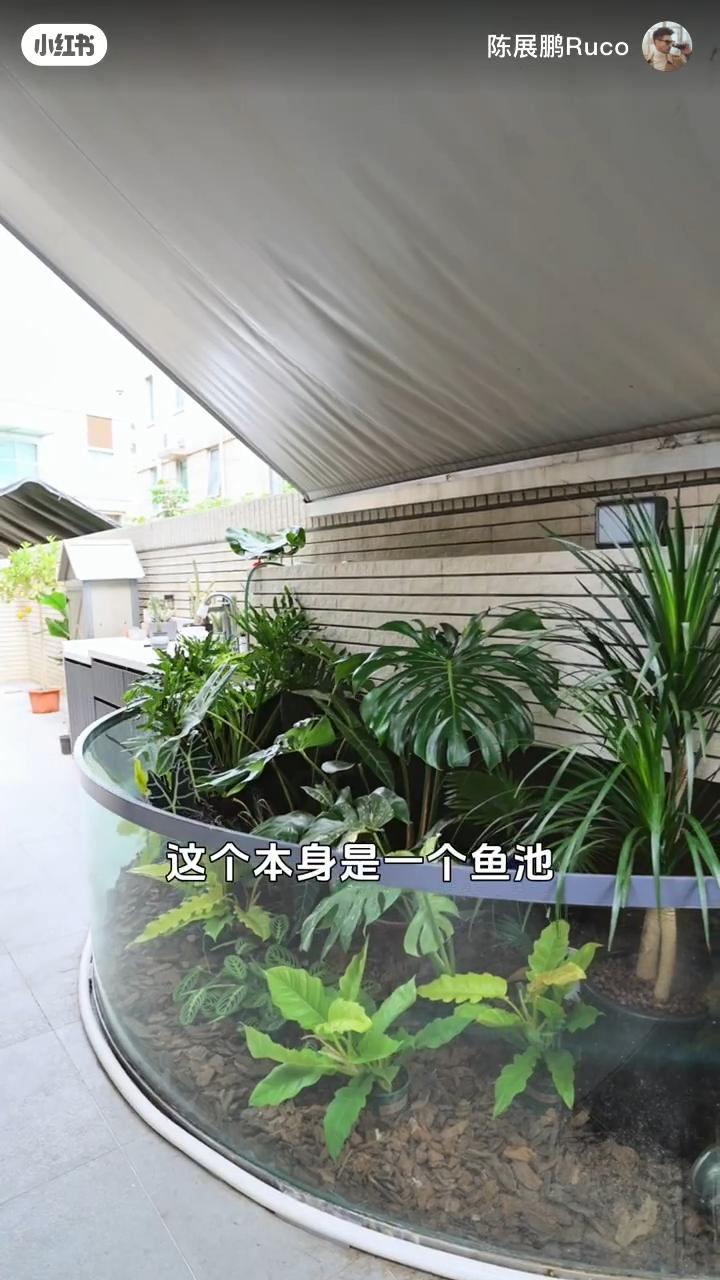 陳展鵬將舊有的魚池改造成植物種植區。