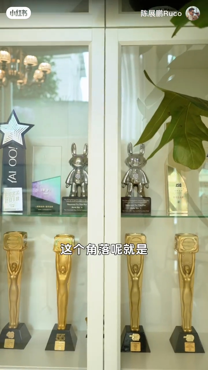 單文柔在家中為丈夫設置了一個獎項陳列櫃。