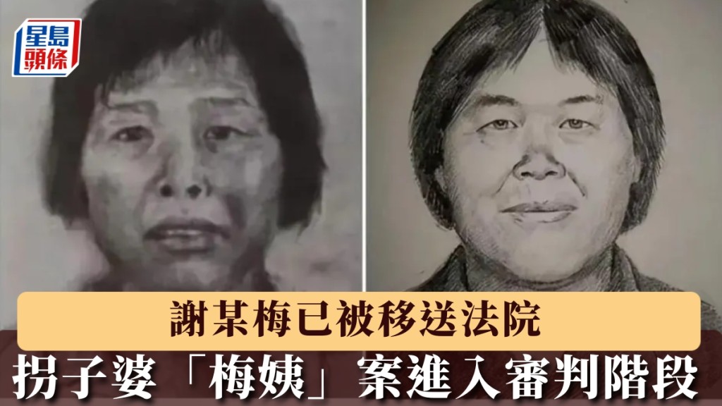 拐賣兒童案主嫌「梅姨」謝家梅被公訴 案件進入法院審判階段