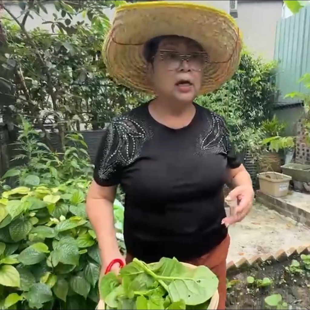 肥媽早前在社交平台分享自己於花園種植的片段。