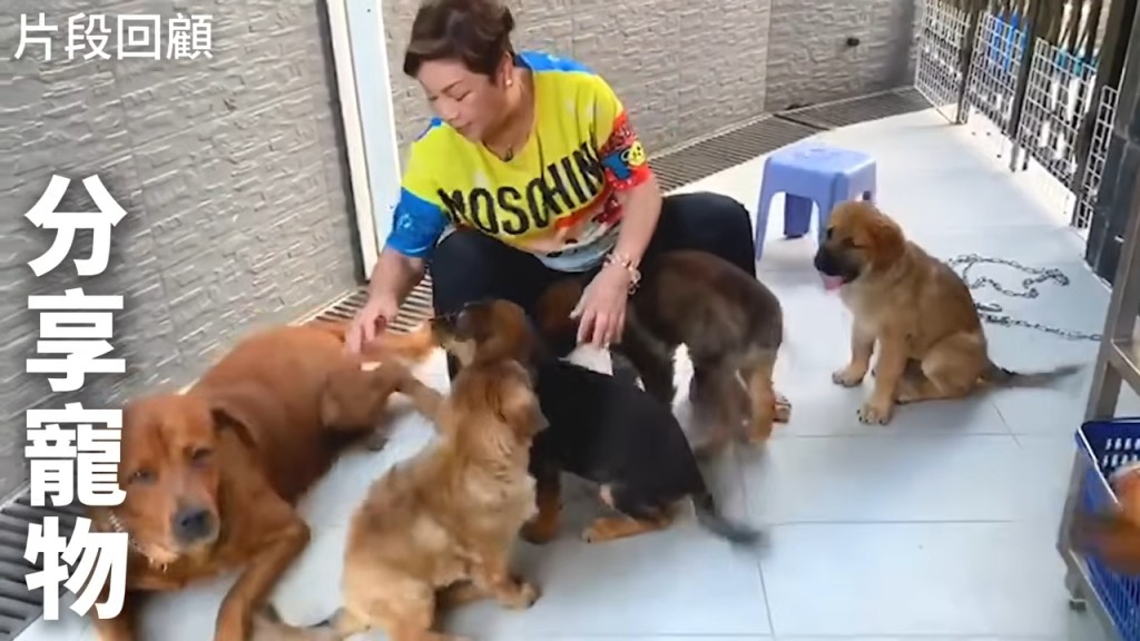 肥媽近日經歷了愛犬離世的傷痛。