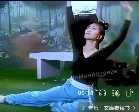 汪明荃難忘劉兆銘在《四季情》為她編排舞蹈。