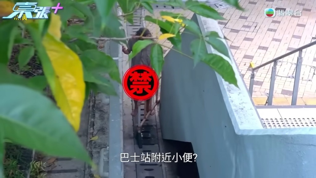 野人爸爸被拍到在巴士站小便。