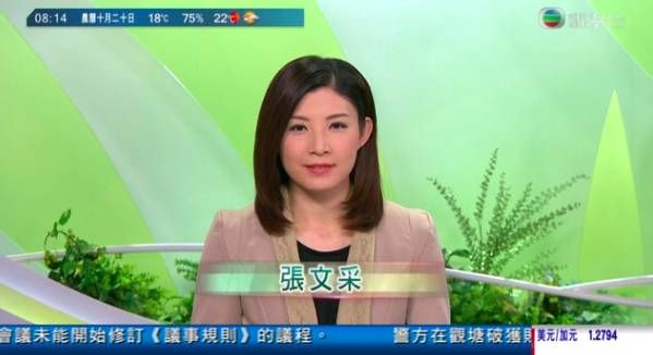 張文采畢業後,曾先後擔任港台記者及亞視主播。