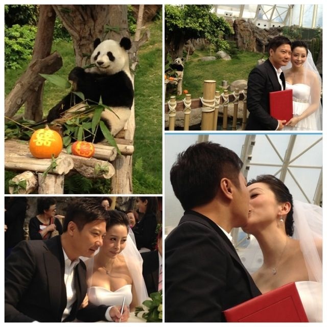 兩人在2012年於海洋公園舉行浪漫婚禮。