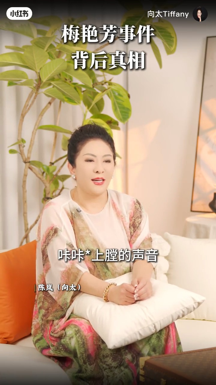 向太描述營救過程非常驚險,因現場有不少已上膛的槍械,形勢千鈞一發。