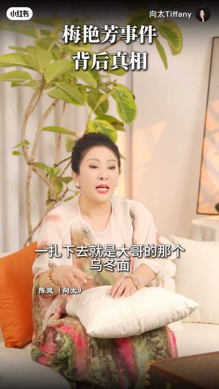向太說,梅艷芳當時醉得將酒杯丟向一位「大哥」的烏冬麵碗中。
