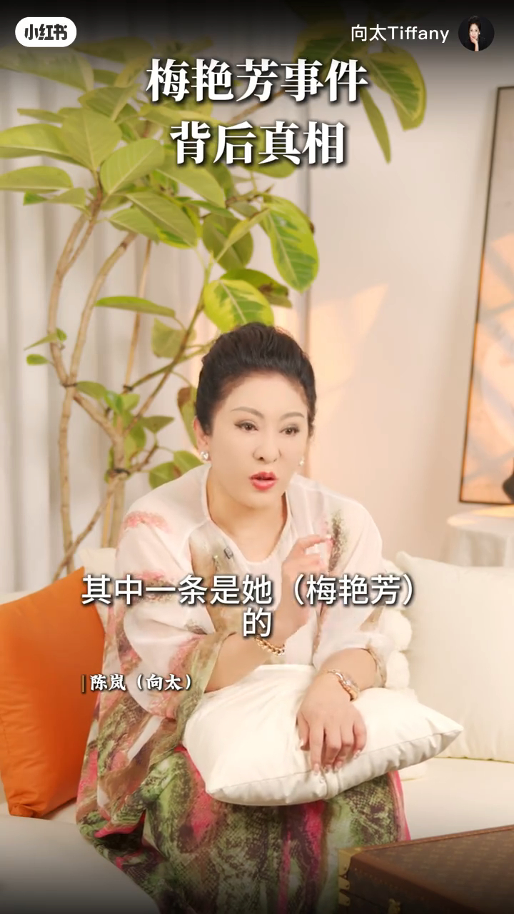 向太指出,那位「大哥」當時想取梅艷芳的性命。