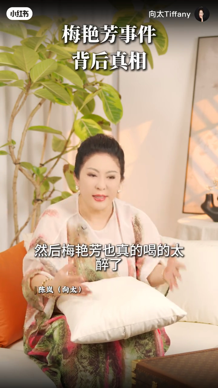 向太提及另一次梅艷芳得罪有勢力人士的事件,當時梅艷芳已經喝醉。