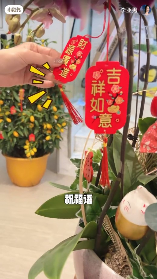 家中亦有一盆象徵吉祥的大吉盆栽。