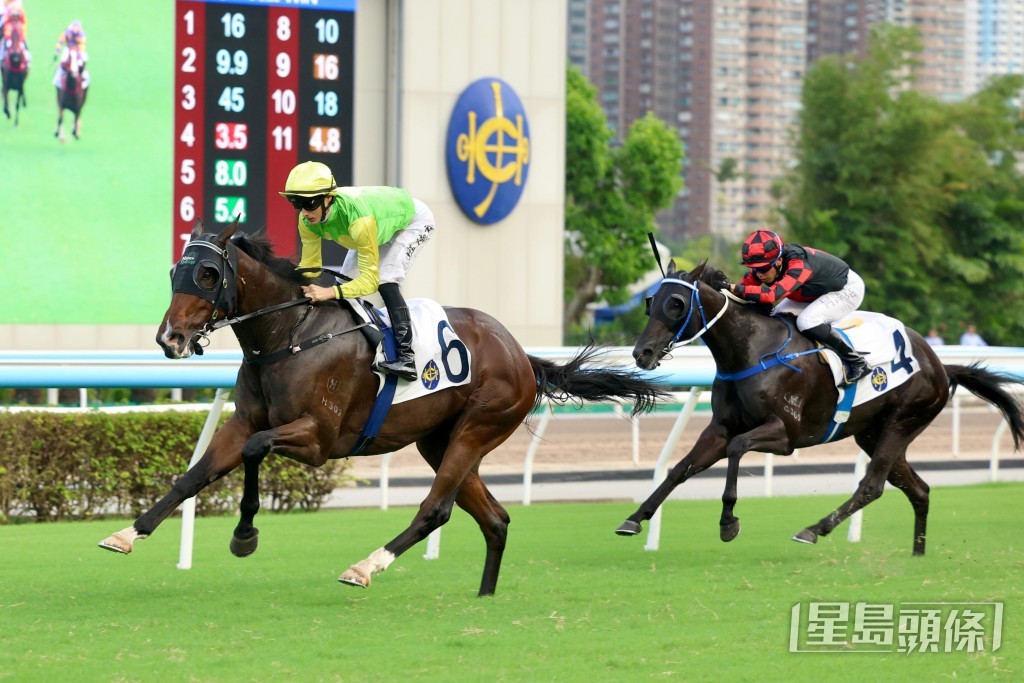 愛駒「舞林密碼」搶救無效離世。