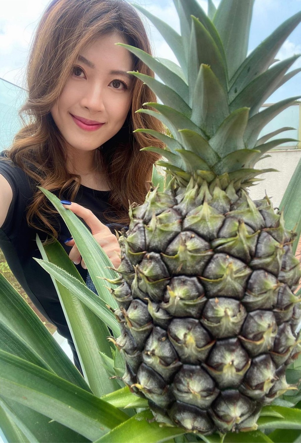 疫情期間,謝芷倫開始嘗試種植。
