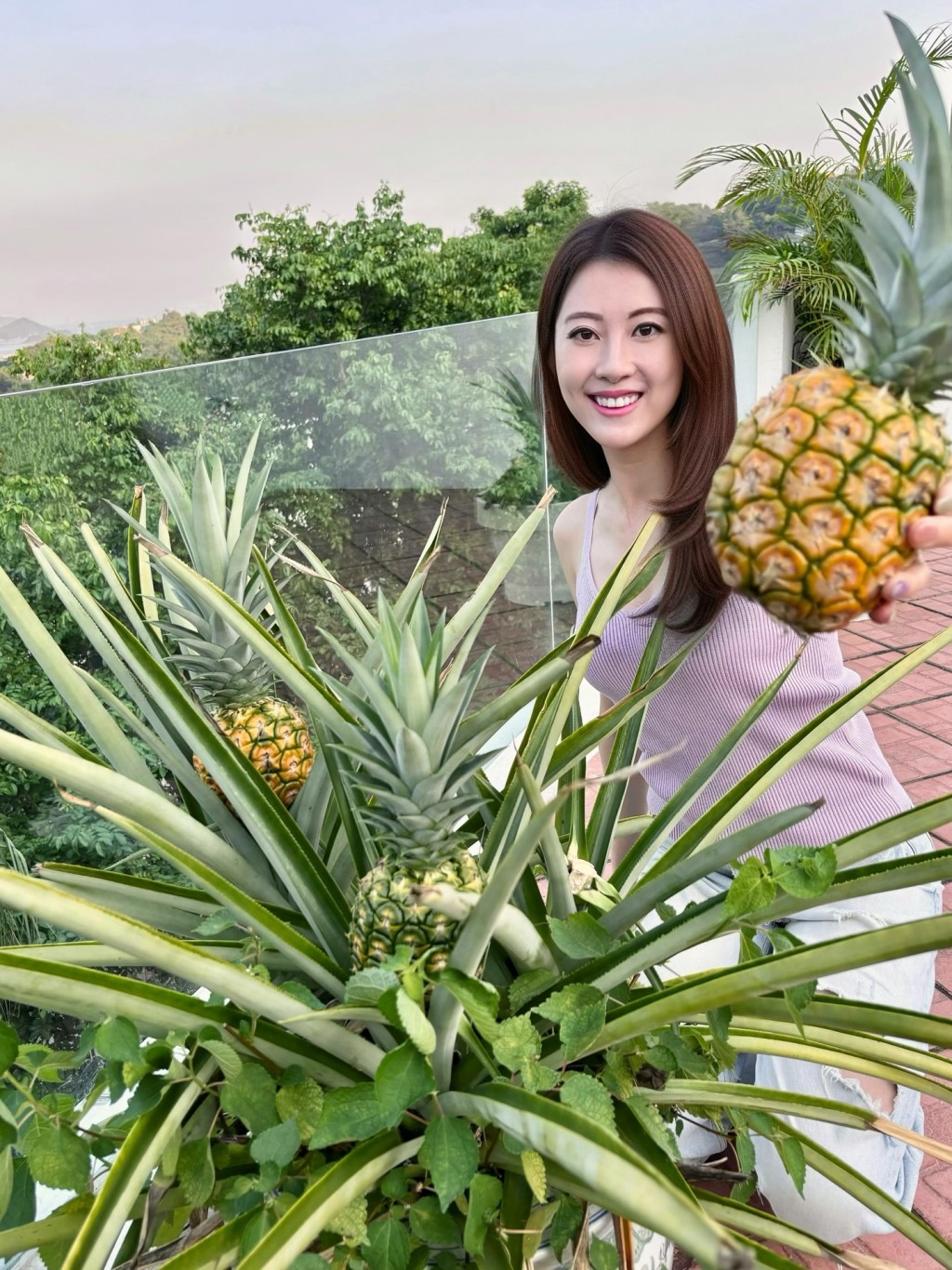 謝芷倫摘菠蘿的動作相當熟練。