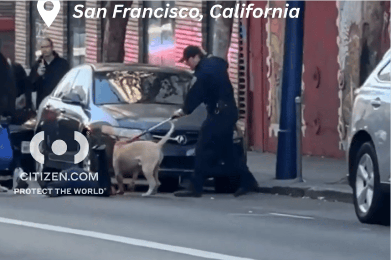 太恐怖！三藩市女子遭比特犬咬到命危，惡犬卻突然死亡
