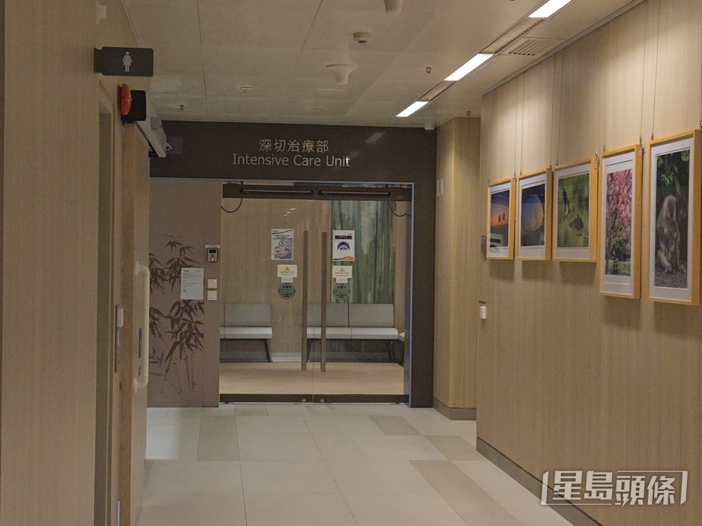 鍾麗淇入住深切治療部（ICU）。