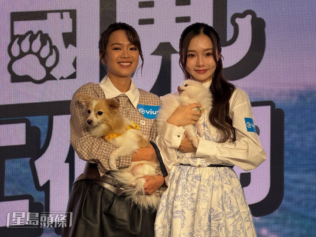 陳俞希帶著兩隻領養的愛犬一同亮相。