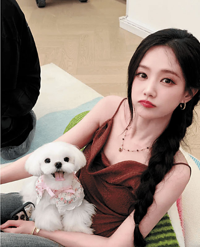 李一桐