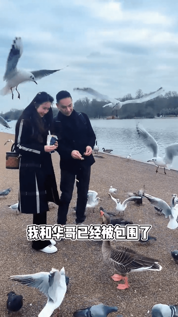 駱達華與女兒一同去餵鴿子和天鵝。
