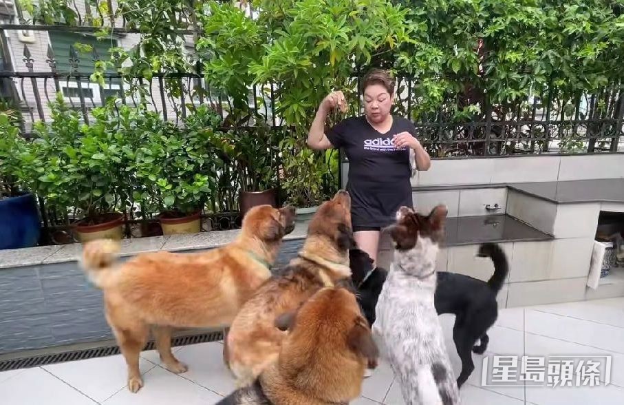 富有愛心的肥媽一向善待動物。