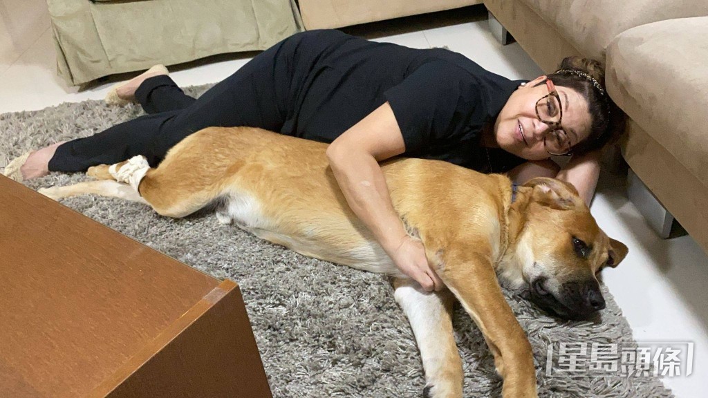 然而，愛犬Barney早前突然離世。